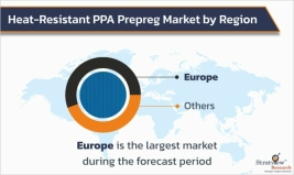 Heat-Resistant-PPA-Prepreg-Market-Regional-Analysis